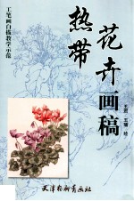 热带花卉画稿 封面