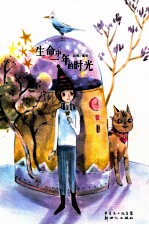 生命中一年的时光 封面