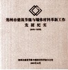 郑州市建筑节能与墙体材料革新工作发展纪实  2002-2009 电子书封面