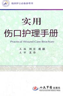 临床护士必备参考书  实用伤口护理手册 封面