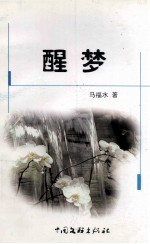 时代精品文丛  醒梦 封面