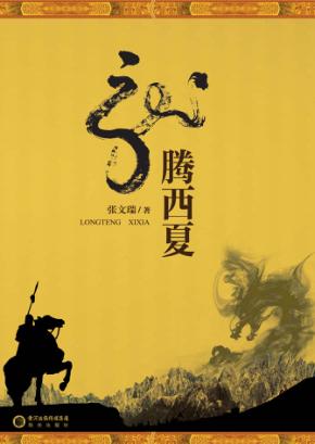 龙腾西夏 封面