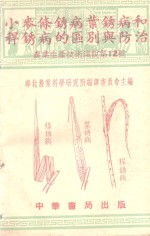 小麦条锈病叶锈病和秆锈病的区别与防治 封面