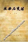 王安石变法 封面
