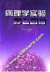病理学实验彩色图谱 封面