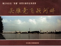 头雁竞飞颍河畔  周口市百名“双强”村党支部书记风采录 封面