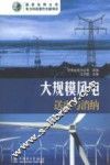 大规模风电送出与消纳 封面