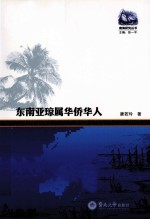 东南亚琼属华侨华人 封面