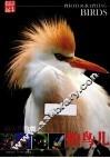 山光悦鸟性  拍鸟儿 封面