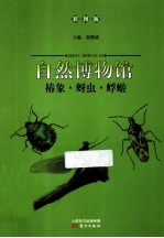椿象蚜虫蜉蝣  彩图版 封面