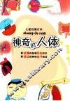 儿童智趣百科  神奇的人体 封面