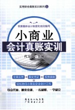 小商业会计真账实训 封面