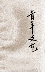 青年文艺 封面