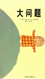 大问题 封面