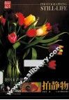 此时无声胜有声  拍静物 封面