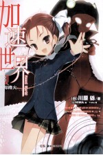 加速世界  13  水际烽火 封面