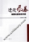 迁徙风暴  城镇化建设启示录 封面
