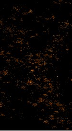 伤寒论贯珠集  卷3-5 封面