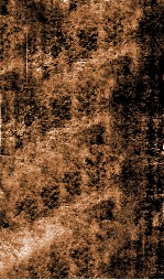 伤寒恒论  卷1 封面