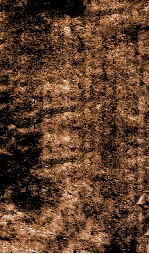 伤寒恒论  卷2-4 封面