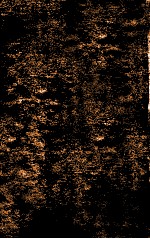 伤寒贯珠集  卷1  下 封面