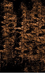 伤寒贯珠集  卷2-3 封面