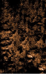 伤寒贯珠集  卷4-5 封面