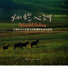 灿烂心河  上海市长宁区新泾田野摄影协会作品选 封面