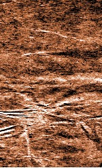 绛雪园古方选注  折伤科，上中下品药 封面