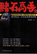 赌石高手  2  赌石魅力，引无数英雄竞折腰 封面