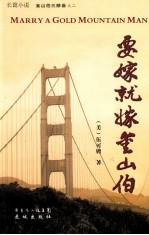 要嫁就嫁金山伯 封面