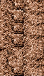 伤寒论本义  卷十六—卷末 封面