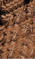 翁仲仁先生痘科金镜赋  卷6 封面