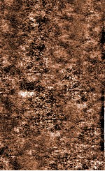 翁仲仁先生痘科金镜赋  卷4-5 封面