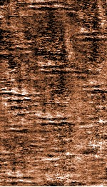 痘疹集成  卷4 封面