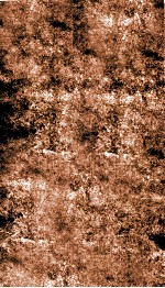 痘疹集成  卷上下 封面