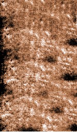 痘科类编释意  卷上 封面