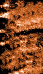 痘科类编释意  卷中 封面