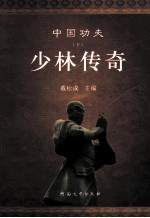 中国功夫  下  太极神话 封面