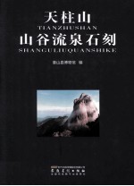 天柱山山谷流泉石刻 封面
