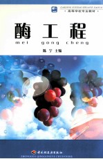 高等学校专业教材  酶工程 封面