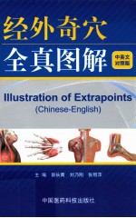 经外奇穴全真图解  中英文对照版 封面