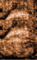 世补斋医书  重订绮石理虚元鉴  卷1-4 封面