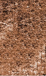 难经经释  卷上终 封面