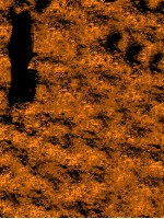 痘症精言  卷1-4 封面