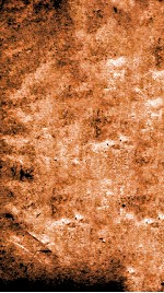 痘疹正宗金鉴  卷2 封面