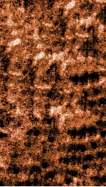 痘疹正宗  下 封面