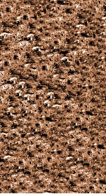 翁仲仁先生痘疹金镜录  卷上中 封面