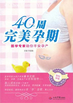 40周完美孕期  医学专家助你平安孕产 封面