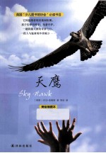 天鹰  美绘插图本 封面